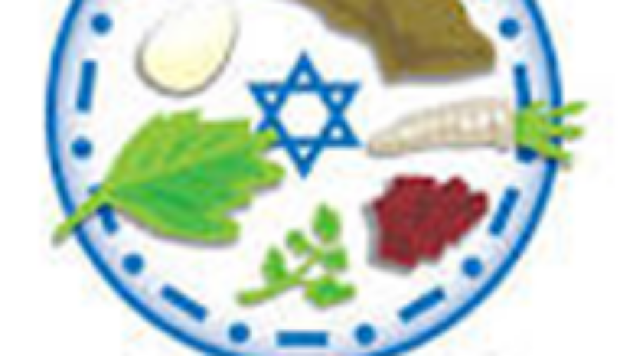 seder meal